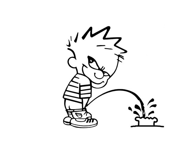 INDIGNITY VOL. 3, NO. 24: The return of WEATHER REVIEWS