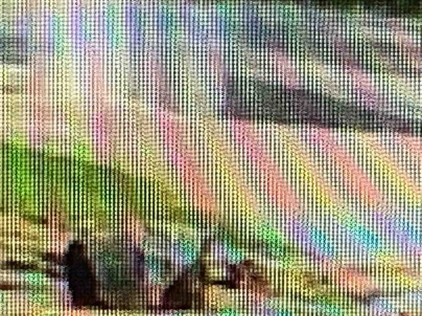 Indignity Morning Podcast No. 103: The Wall Street Journal editorial page is here to tell you not to get excited.