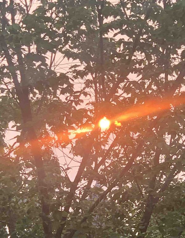 INDIGNITY VOL. 3, NO. 92: Where there's smoke