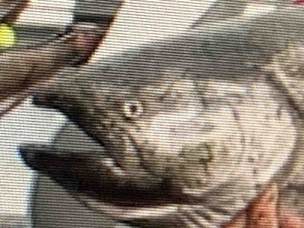 Indignity Morning Podcast No. 92: Our long slide into darkness. 