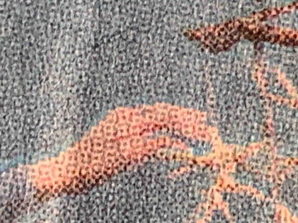 Indignity Morning Podcast No. 119: A new generation of right-wing politicians. 