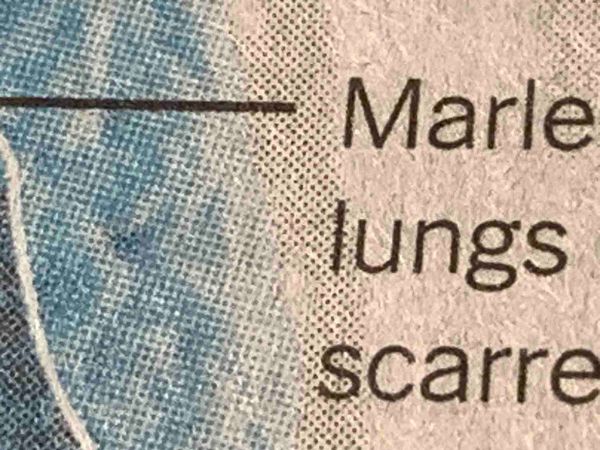 Indignity Morning Podcast No. 133: What are you gonna do?