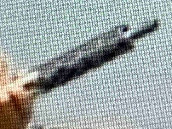 Indignity Morning Podcast No. 71: How can you love something you don’t respect.