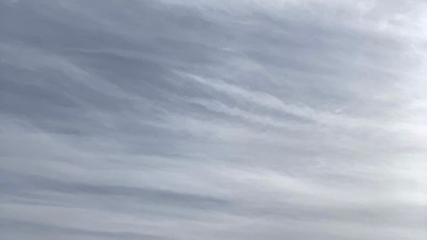 INDIGNITY VOL. 3, NO. 25: Snow!!