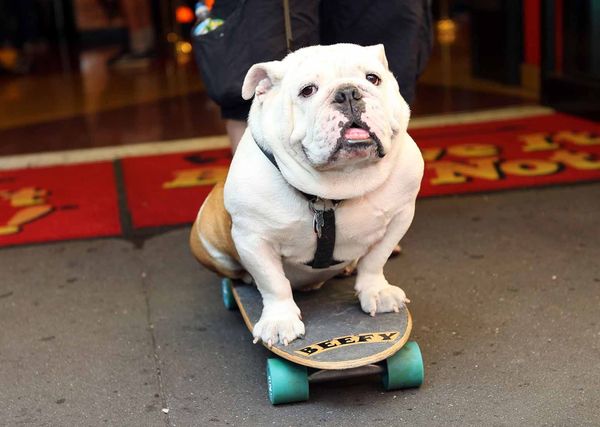 Wordle Postgame Report CATCH-Up, January 26–29, 2023