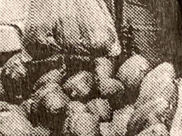 Indignity Morning Podcast No. 172: We just make lots of money selling this stuff, you can't expect us to be accountable for knowing where it comes from.