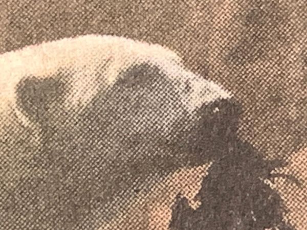 Indignity Morning Podcast No. 218: Totally powerless.