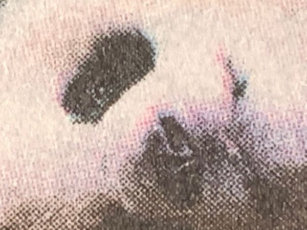 Indignity Morning Podcast No. 224: Panda deals.