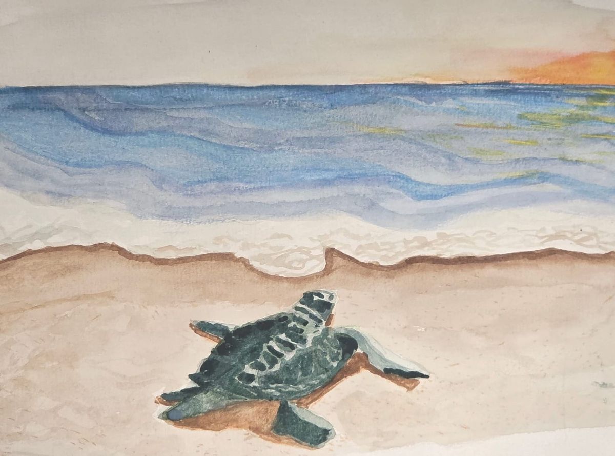 When the Turtles Dance