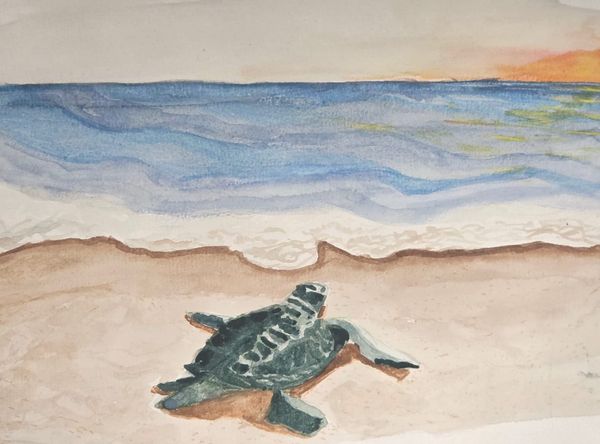 When the Turtles Dance