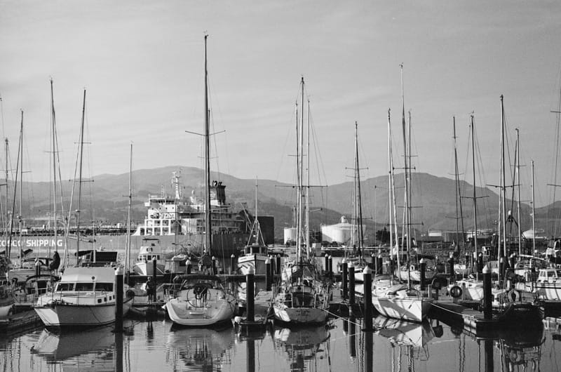 Harbour on Ilford xp2 film.