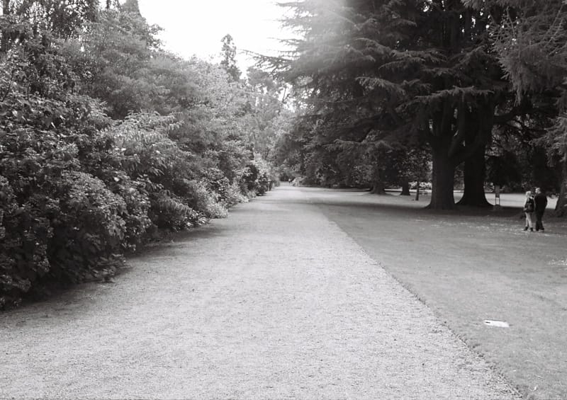 Christchurch gardens on kodak bnw400cn.