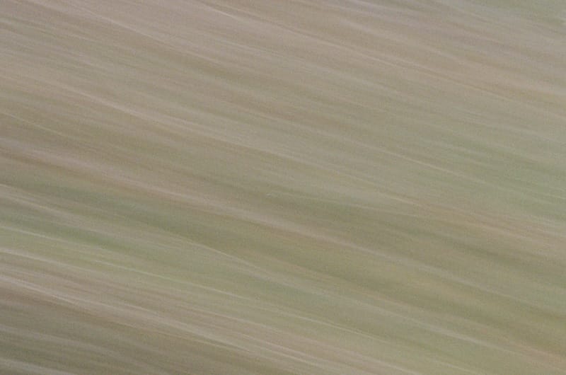 ICM photography on film.
