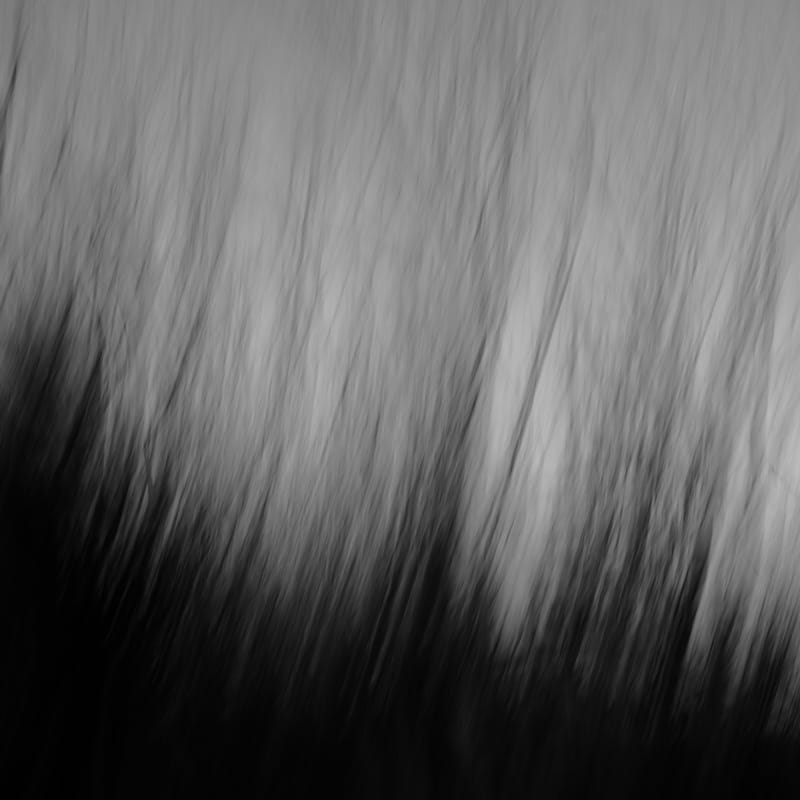 Black and white abstract ICM Photography.