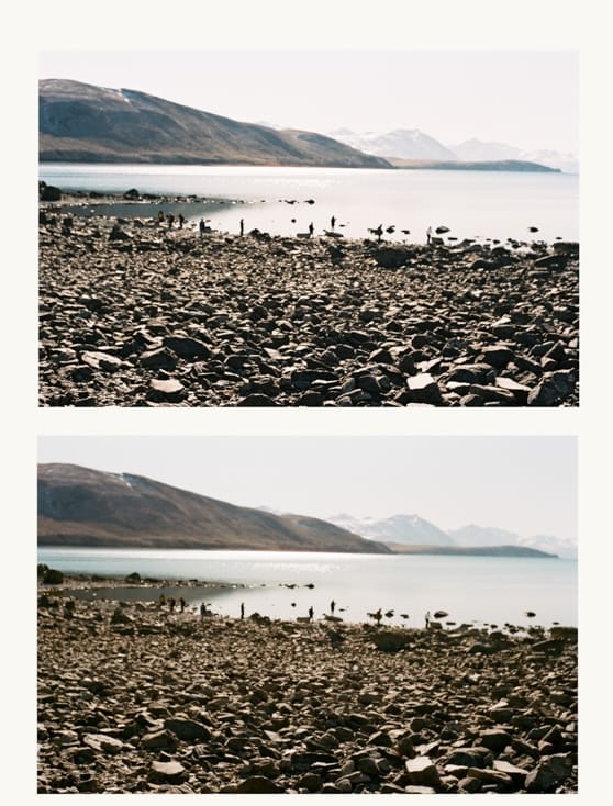 Frontier vs Noritsu film scan of the same image.