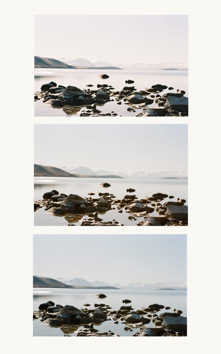 Kodak Portra 160 scanned on the Frontier and Noritsu film scanners.