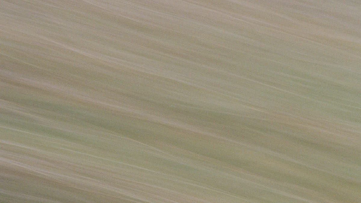 ICM photography on film.