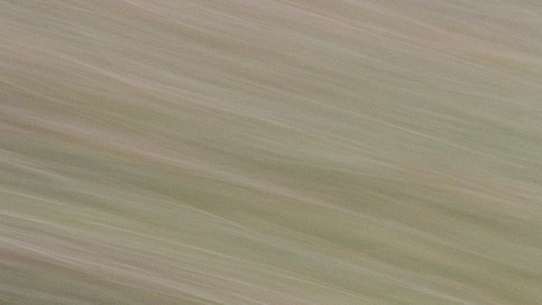 ICM photography on film.