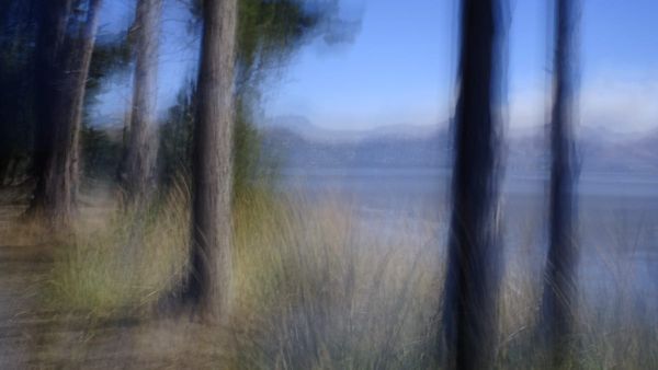 A Landscape abstract image created with Intentional Camera Movement. 