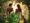 ADAM & EVE - 22 agosto 2024