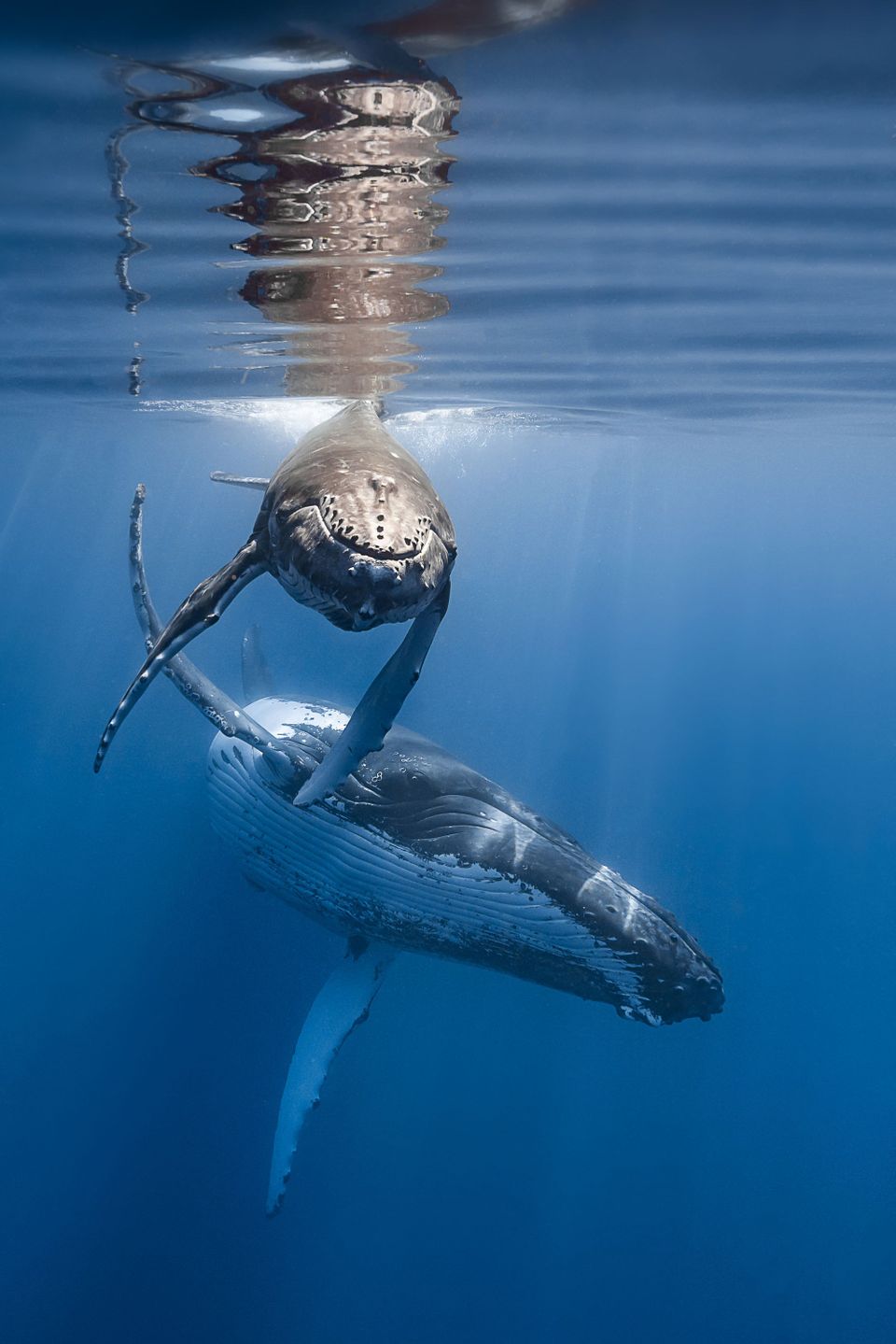 4th UN ESCAP Asia-Pacific Day for the Ocean