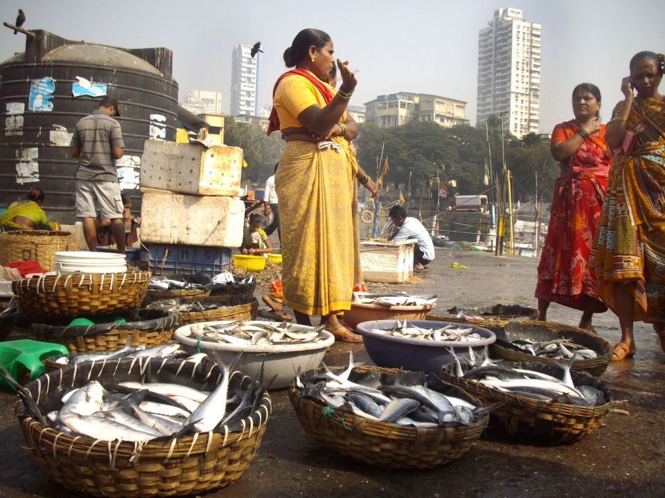 Australia-India Indo-Pacific Oceans Initiative Partnership (AIIPOIP) interactive dialogue on Ocean Accounting: lessons learned and opportunities for collaboration