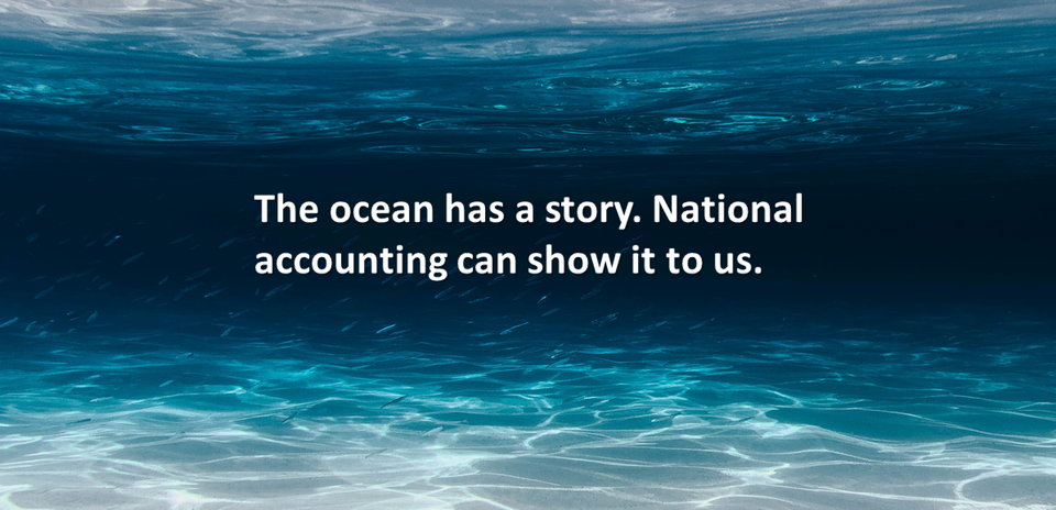 Blue Paper: National Accounting for the Ocean and the Ocean Economy