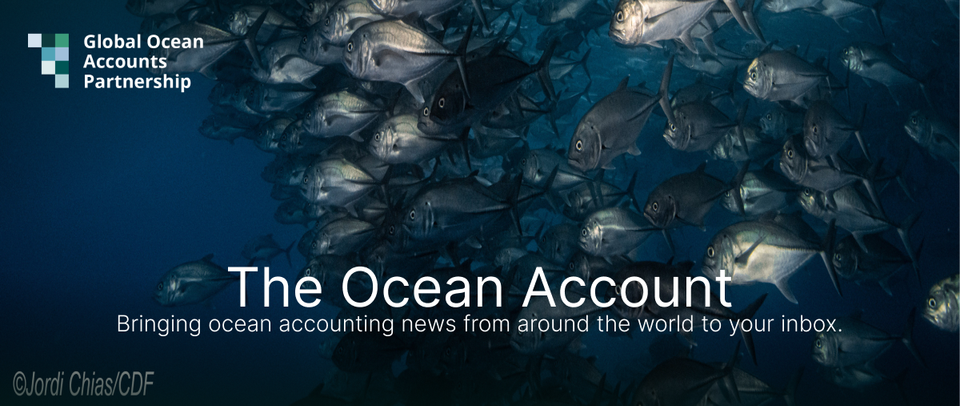 Vol. 5 | January 2024