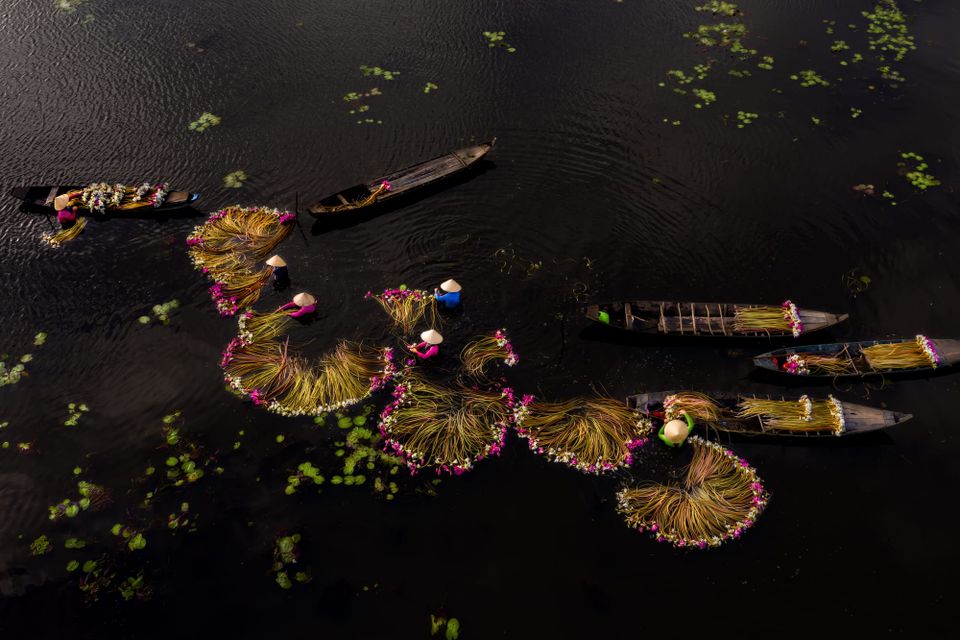 seaweed harvesters on dark water 
