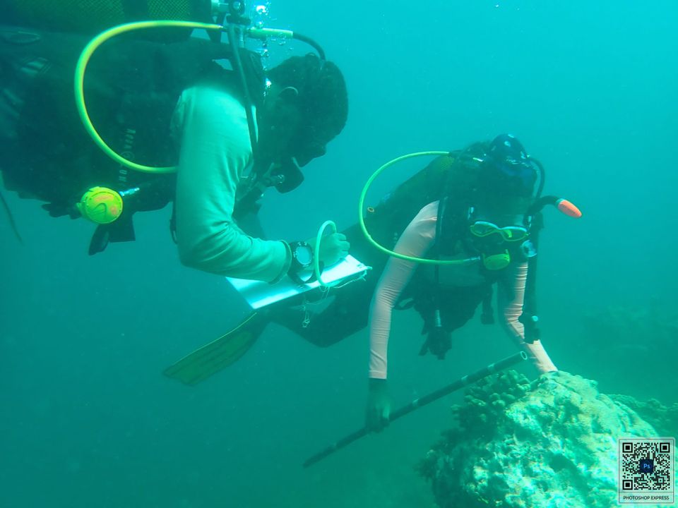 Ocean Accounts Fellows