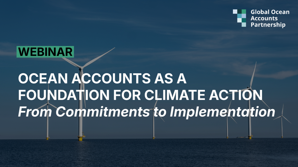 Webinar. Ocean Accounts as a Foundation for Climate Action: From Commitments to Implementation