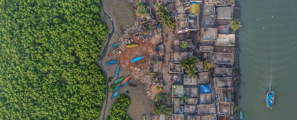 mangroves and fishing community - Kikinada City