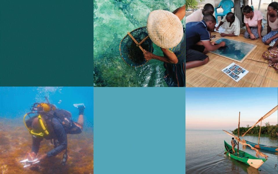 A Progress Report on World Oceans Day