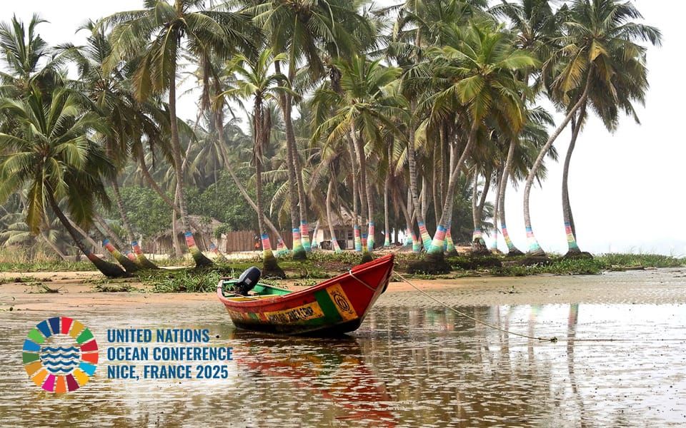 boat on the shore in Ghana with palm trees in background