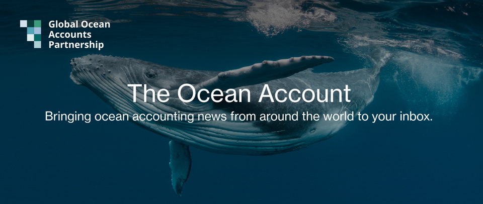 The Ocean Account 11 - newsletter from GOAP