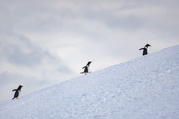 2023 - Antarctica Planning - Camera Edition