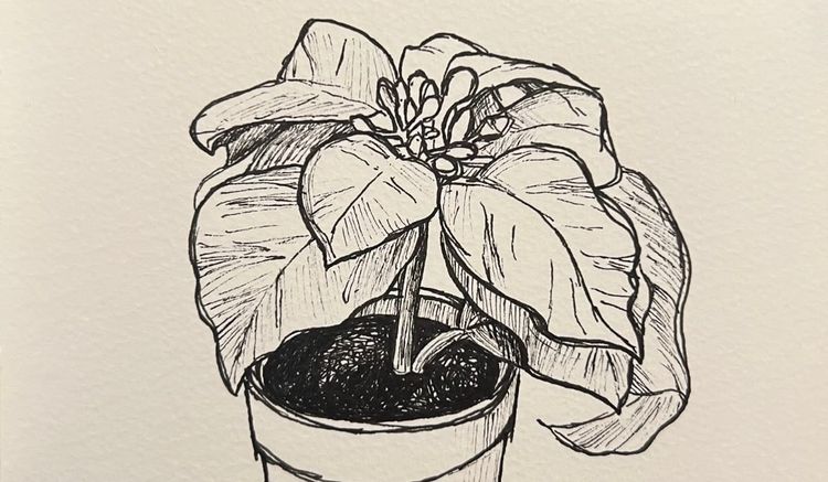 Time to open up the sketchbook.