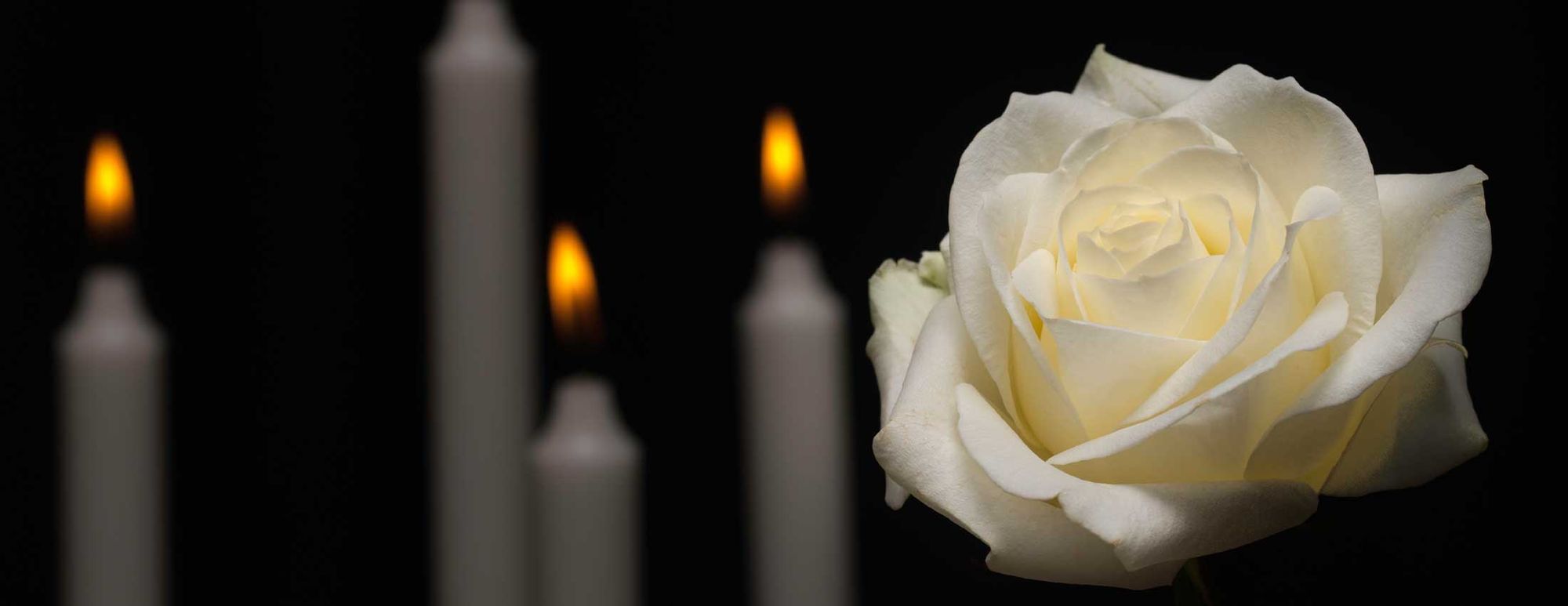 Requiem for a Master