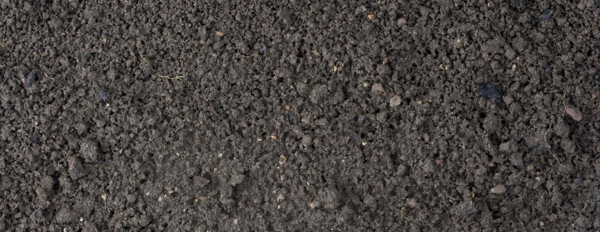 Soil Therapy Secrets – Five Profit Boosting Tips