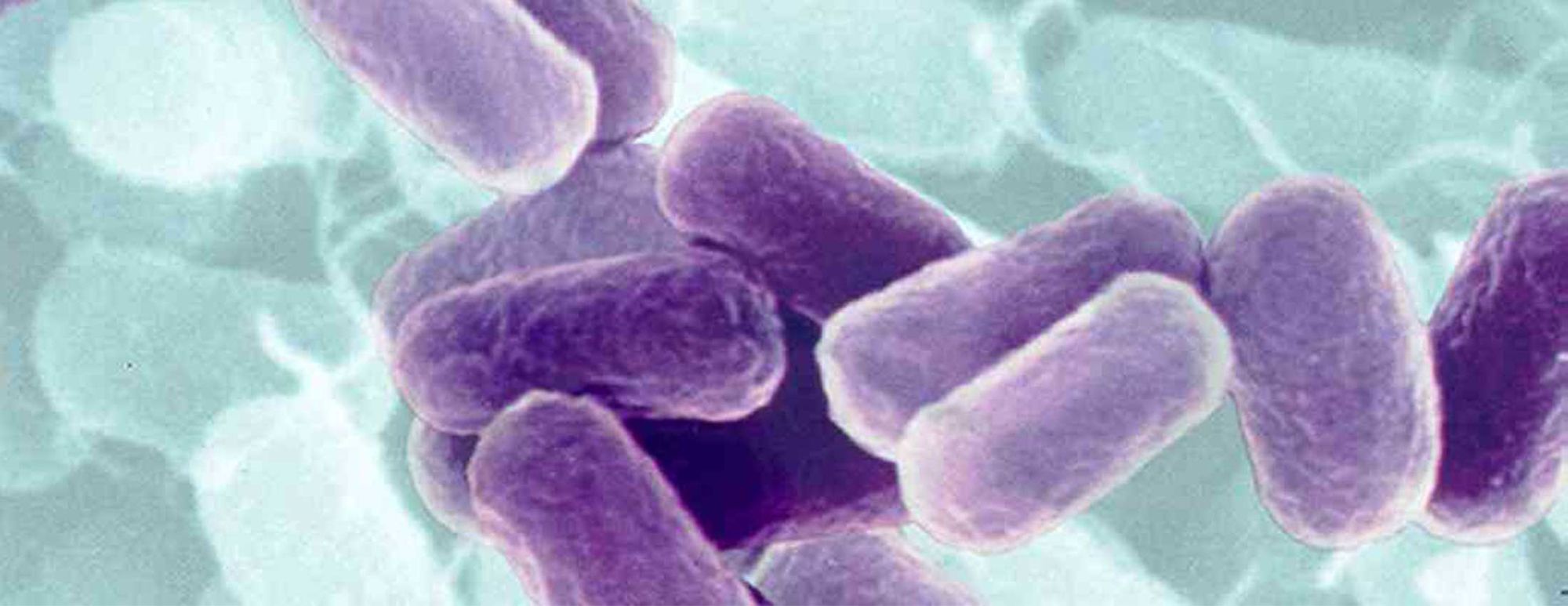 Putting the Microbes Behind the Minerals