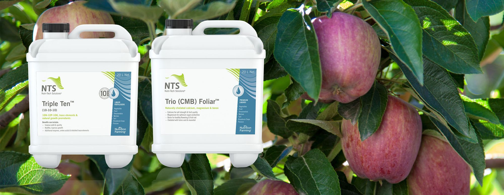 Yield Building with Twin Pack Simplicity