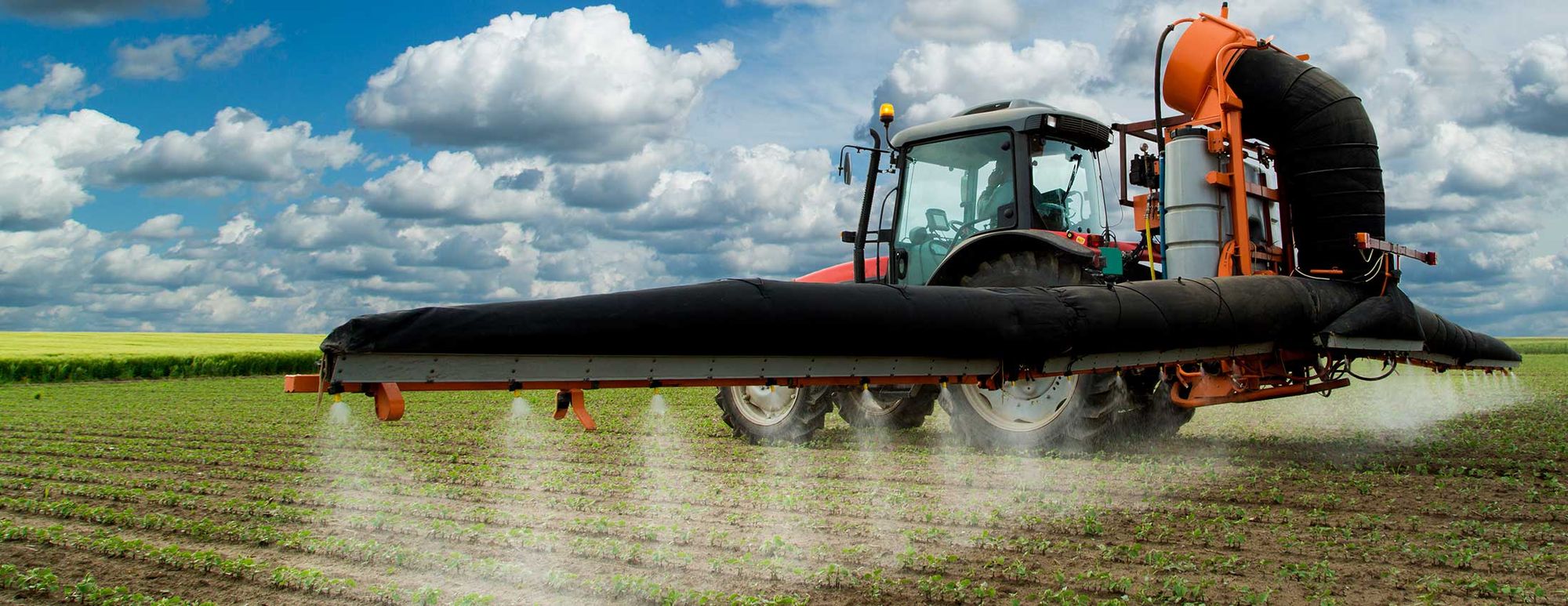 Nutrition and Disease – Interview with Professor Don Huber – Part 2