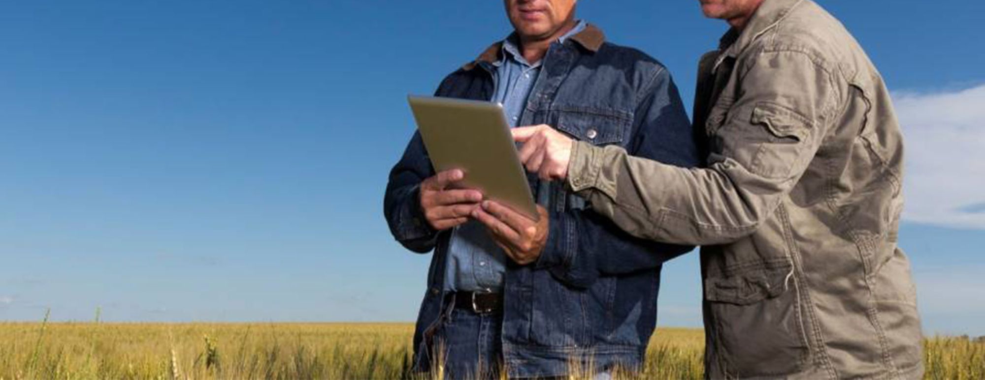 Soil Therapy™ Guidelines – Understanding your Soil Report (Part 8)