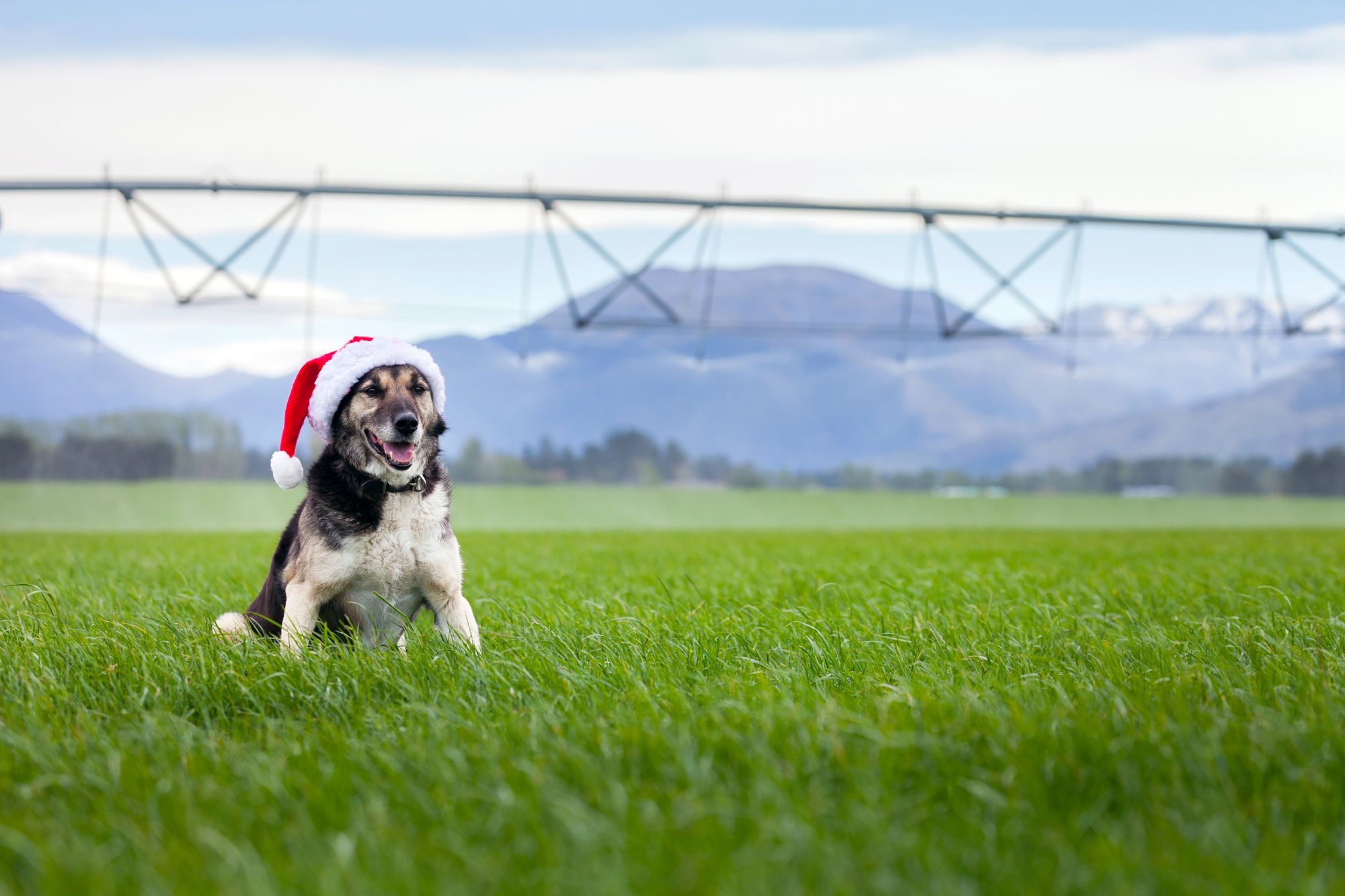 End of Year Considerations - Fine Tuning our Focus