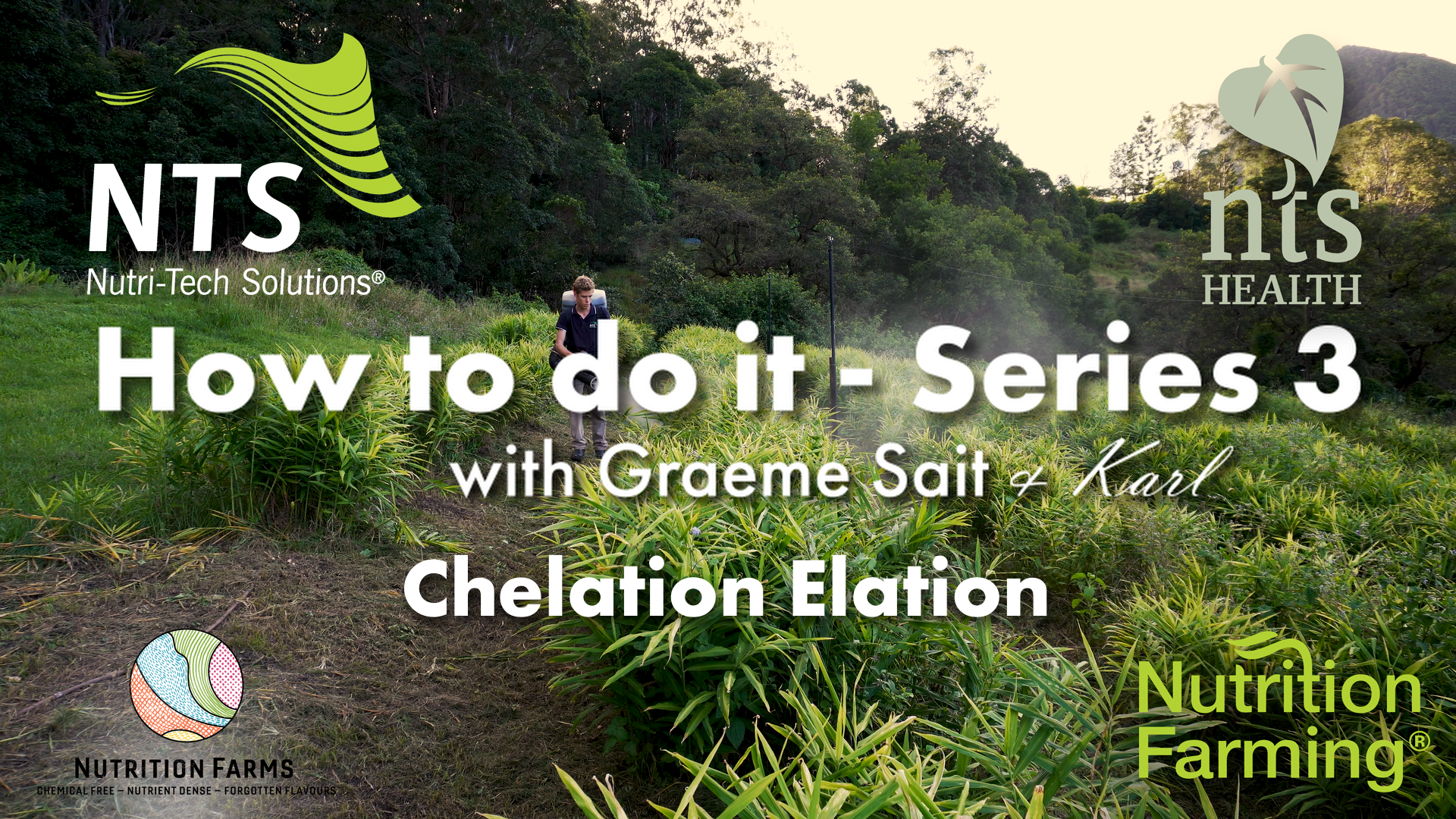 Chelation Elation - Magnify your Nutrition Inputs - How to S3E1