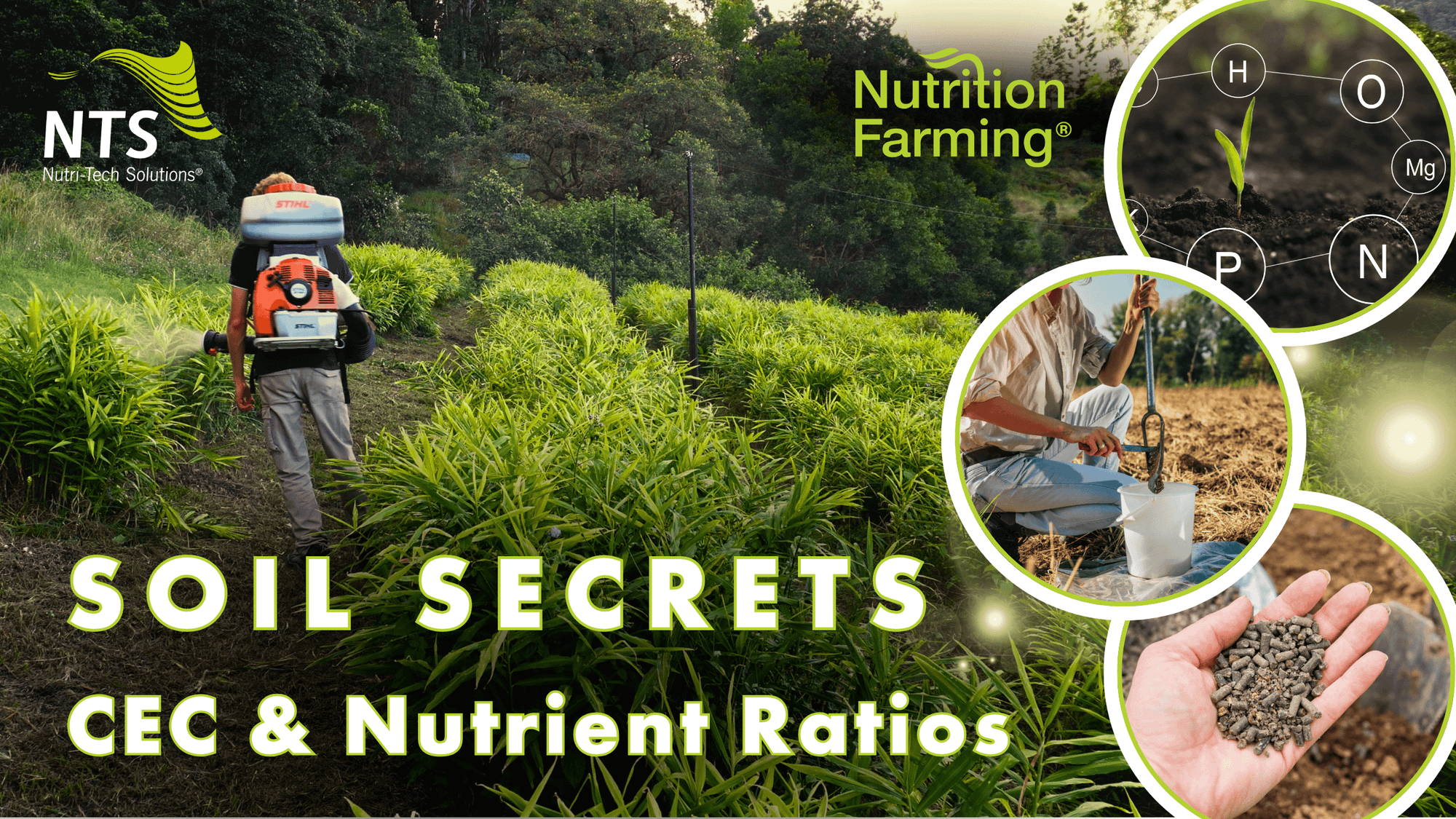 🌱Soil Secrets - Mastering CEC & Nutrient Balance for Maximum Yield - How to S3E10🌿