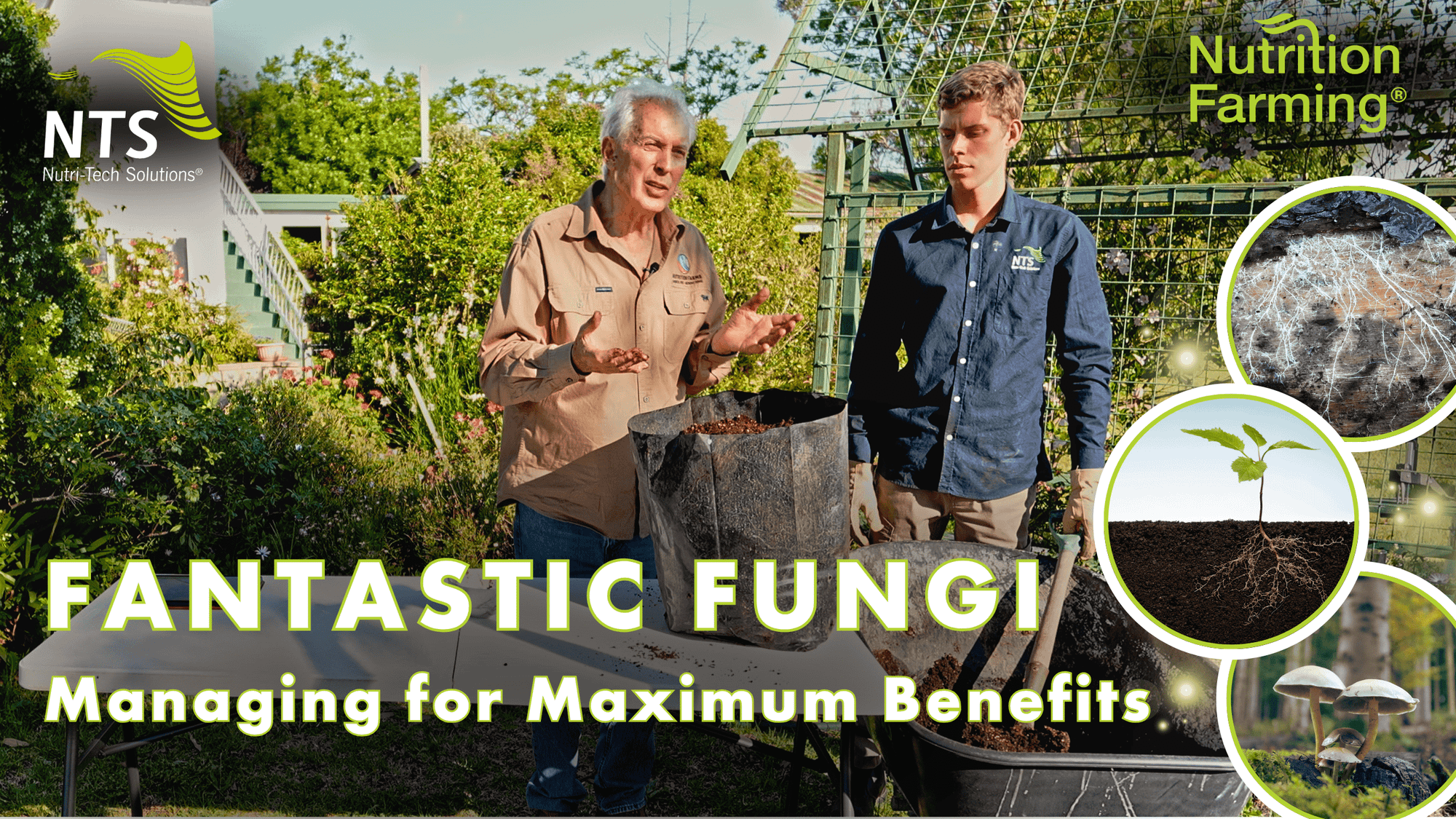 🌱Fantastic Fungi: The Hidden Soil Heroes Transforming Agriculture - How to S3E12🌿