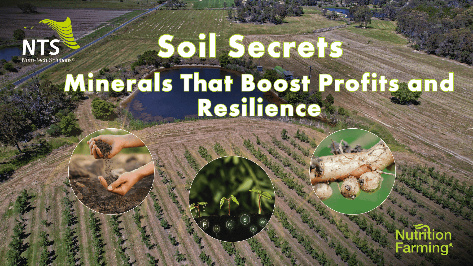 🌱Soil Secrets Every Farmer Should Know - The Missing Minerals That Boost Profits and Resilience - How to S3E9🌿