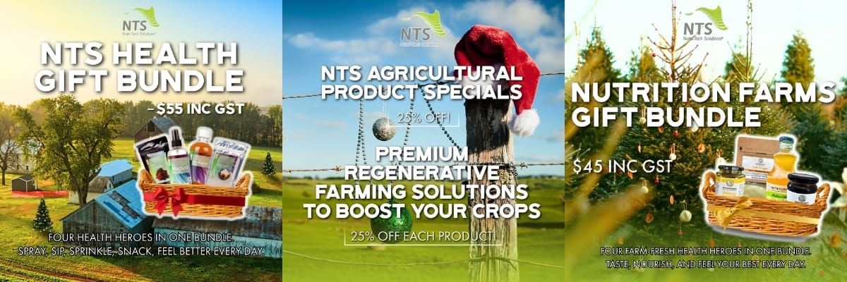 🌱2025 Christmas Specials & Office Closure🌿