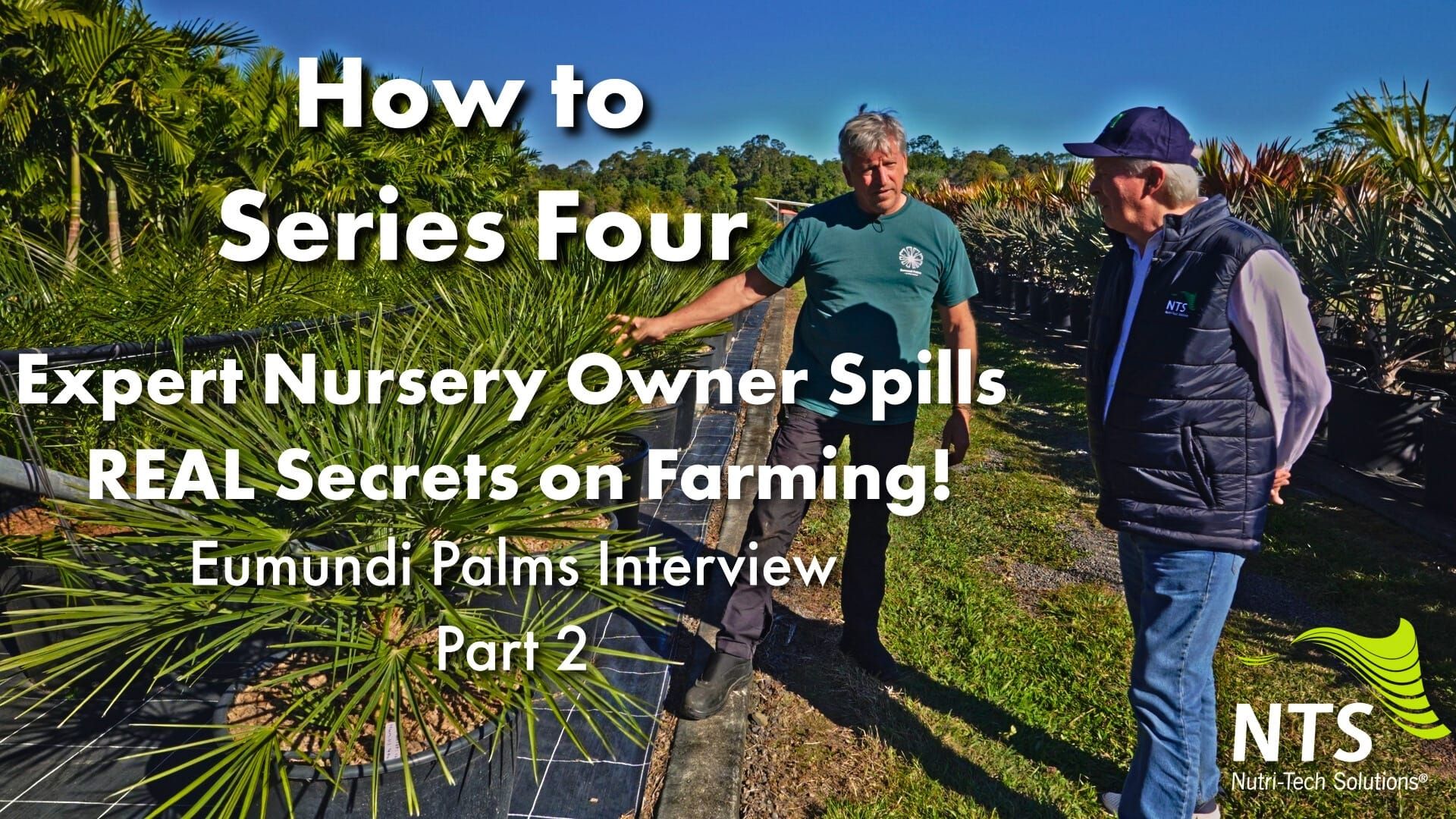 🌱Expert Nursery Owner Spills REAL Secrets on Farming!🌿Eumundi Palms Interview - Part 2 - How to S4E9